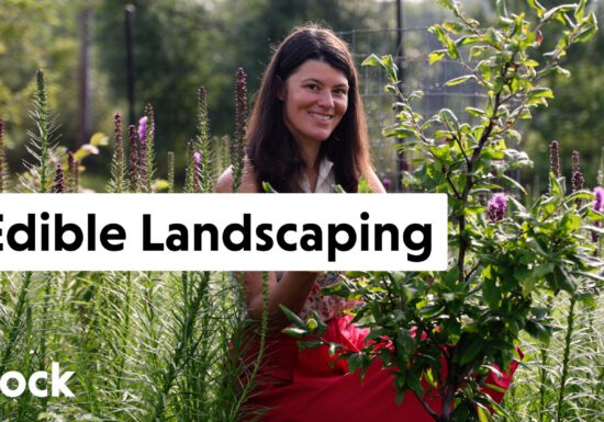 Summer Rayne Oakes in her edible garden
