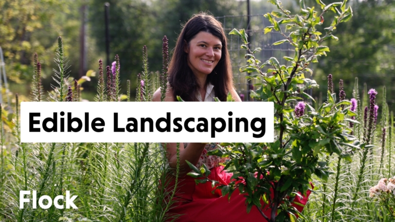 Summer Rayne Oakes in her edible garden