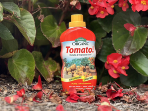 Espoma Organic Tomato! liquid fertilizer