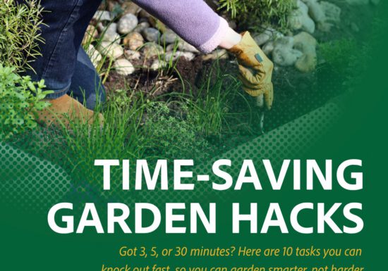 Time saving garden hacks