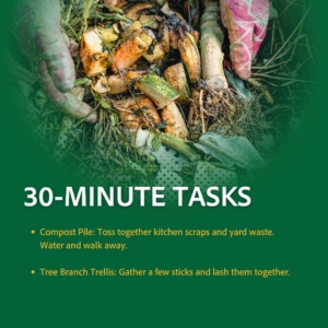 30 min tasks