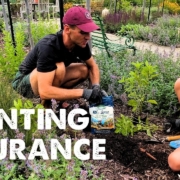 Kaleb Wyse planting in his garden