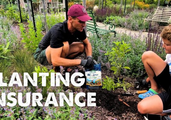 Kaleb Wyse planting in his garden