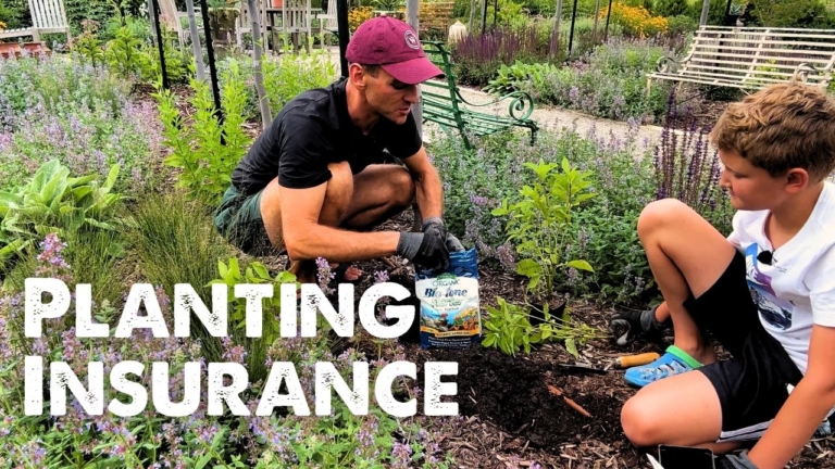 Kaleb Wyse planting in his garden