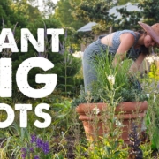 Summer Rayne Oakes Planting a large container