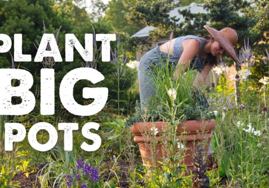 Summer Rayne Oakes Planting a large container