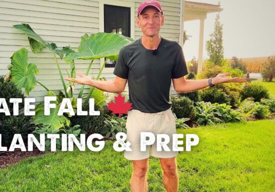 Kaleb Wyse in his garden