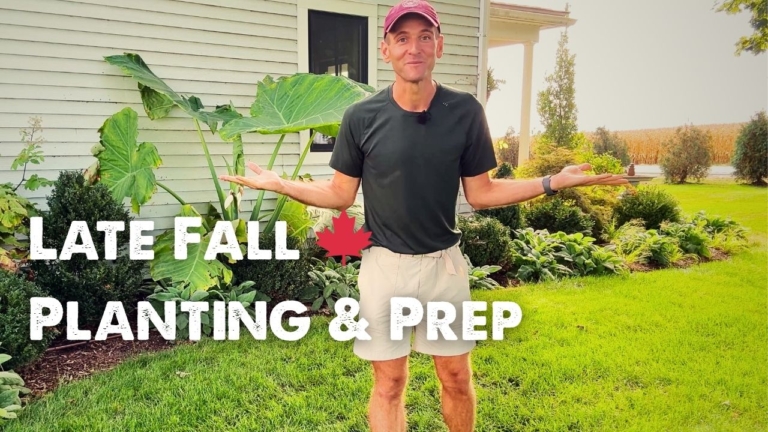 Kaleb Wyse in his garden