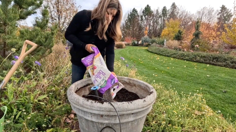 Garden Answer Using Bulb-tone