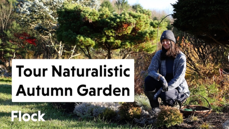 Summer Rayne Oakes in her fall garden