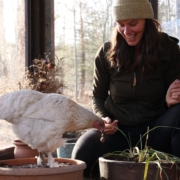 Summer Rayne Oaks Planting spring bulbs in a container with a chicken