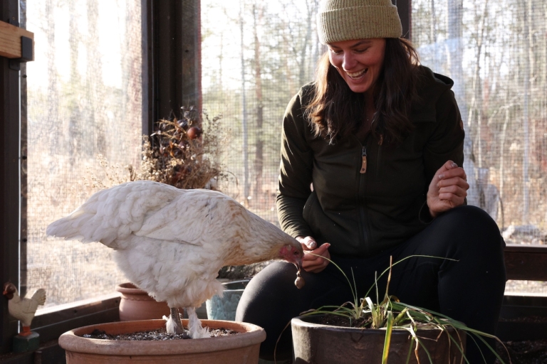 Summer Rayne Oaks Planting spring bulbs in a container with a chicken