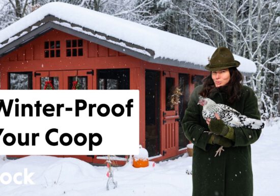 Summer Rayne Oaks talks abut winterizing her chicken coop