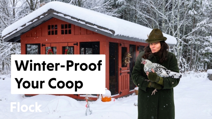 Summer Rayne Oaks talks abut winterizing her chicken coop