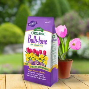 Bulb-tone 600x600