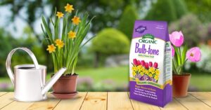 Bulb-tone 650x340