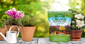Potting Mix 650x340