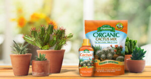 Cactus Mix 1200x628