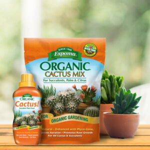 Cactus Mix 600x600