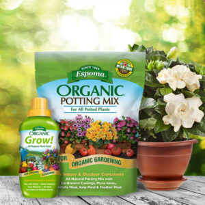 Grow 600x600