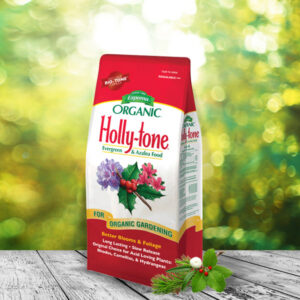 Holly-tone 600x600