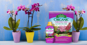 Orchid Mix 1200x628