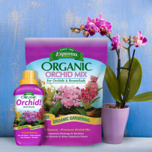 Orchid Mix 600x600