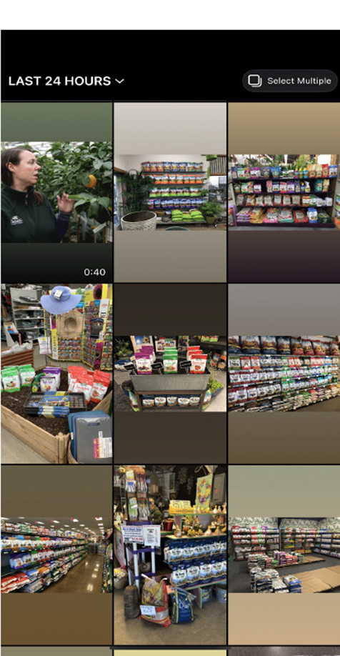 Step 4 - Select content