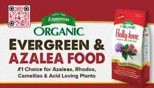 #16 Holly-tone Shelf Talker