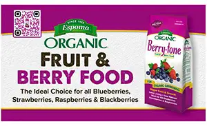 #18 Fruit & Berry Food Shelf Talker