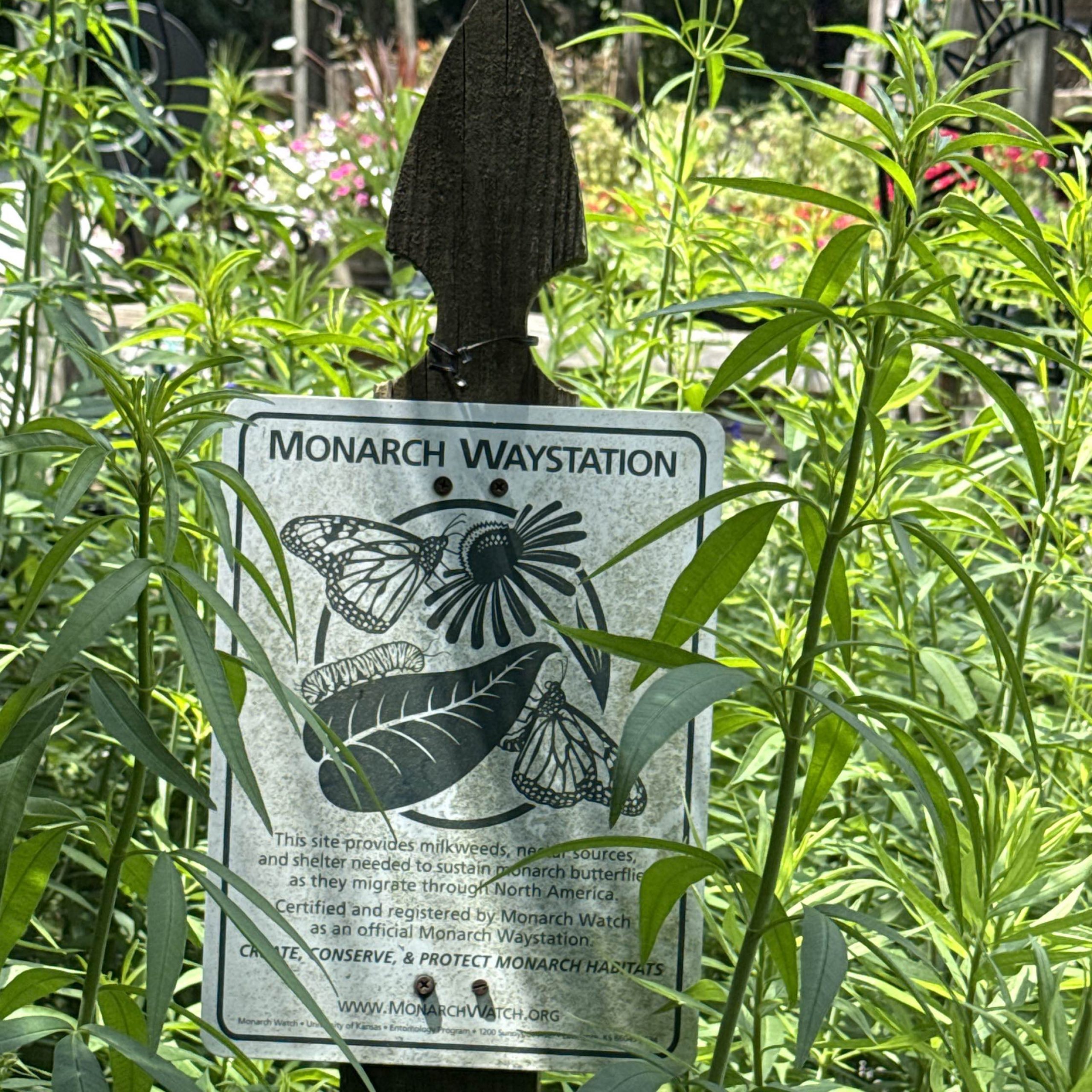 Dearness Gardens