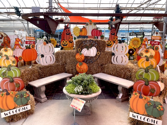 seasonal display at a garden center (fall) 