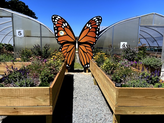 large butterfly sign in a garden center
