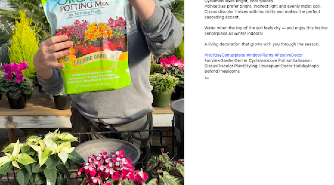 Fair View Garden Center holiday tutorial with Espoma Potting Mix