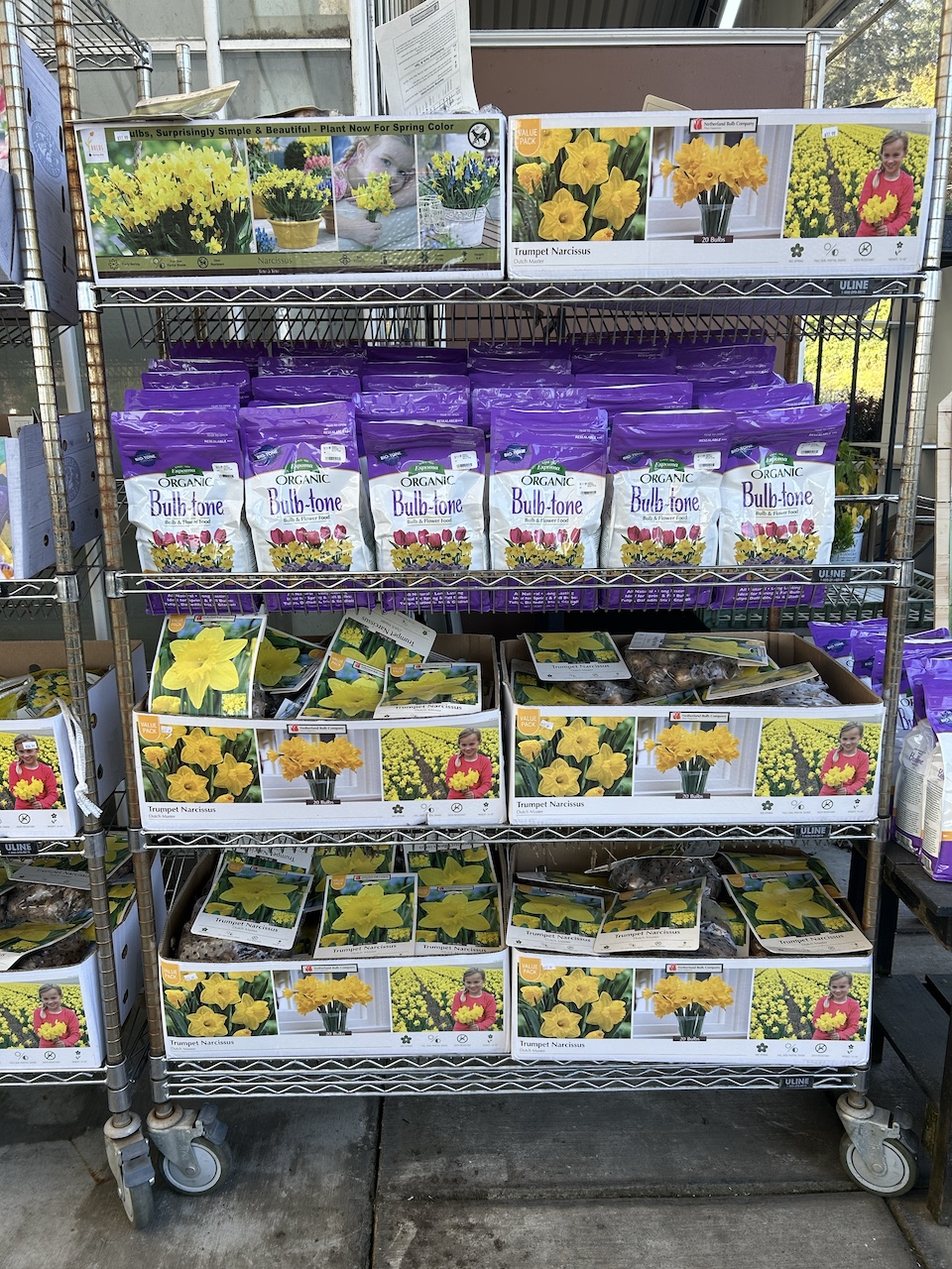 bulb display